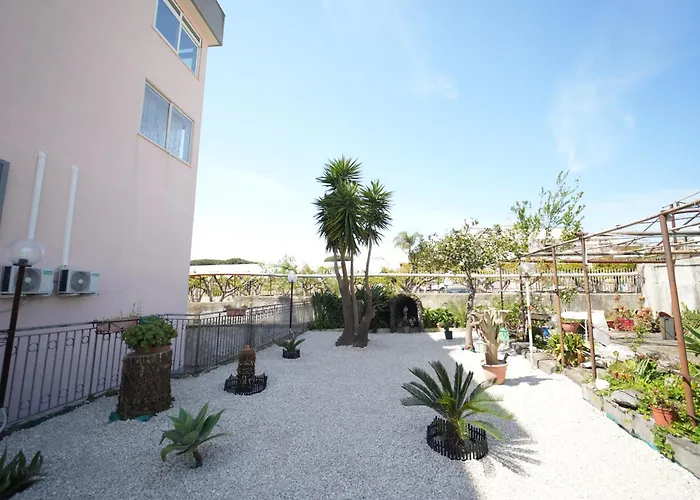 Don Antonio 트레카세